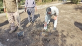 کاشت نهال زیتون در محوطه بیمارستان شهدای طارم به مناسبت روز پرستار